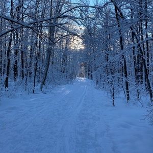 Meet your Posher, Adele